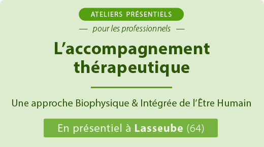 L'accompagnement thérapeutique (pour les professionnels)